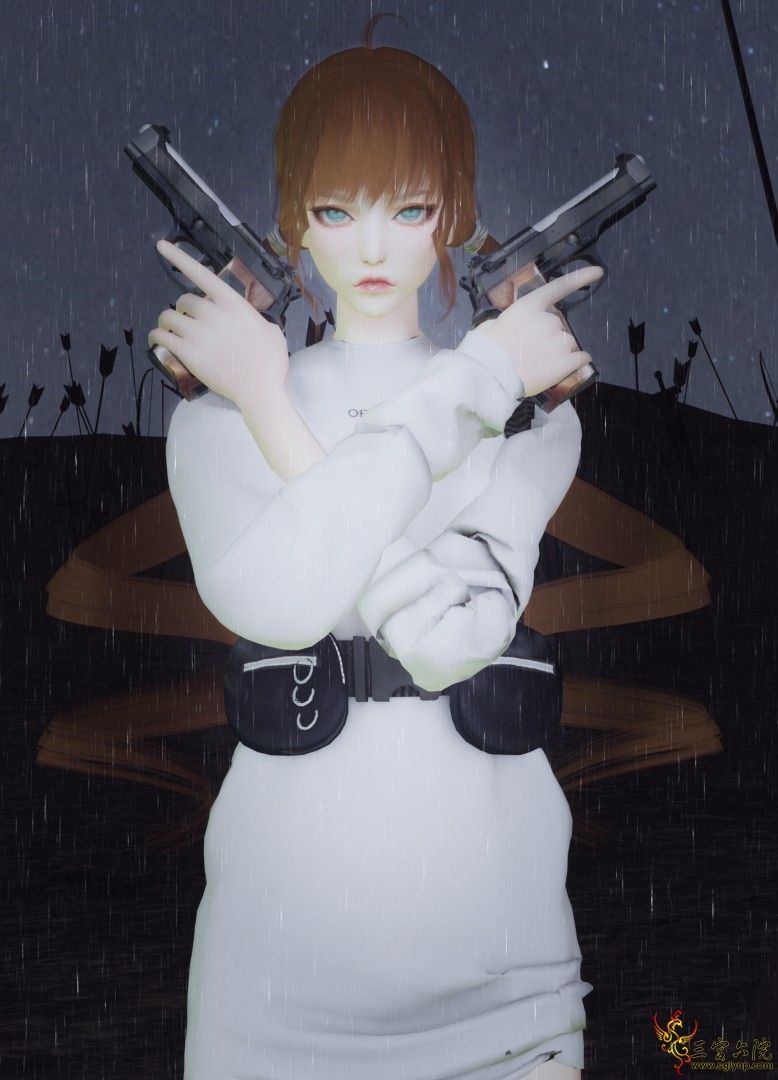 erciyuanXX_polarr.png