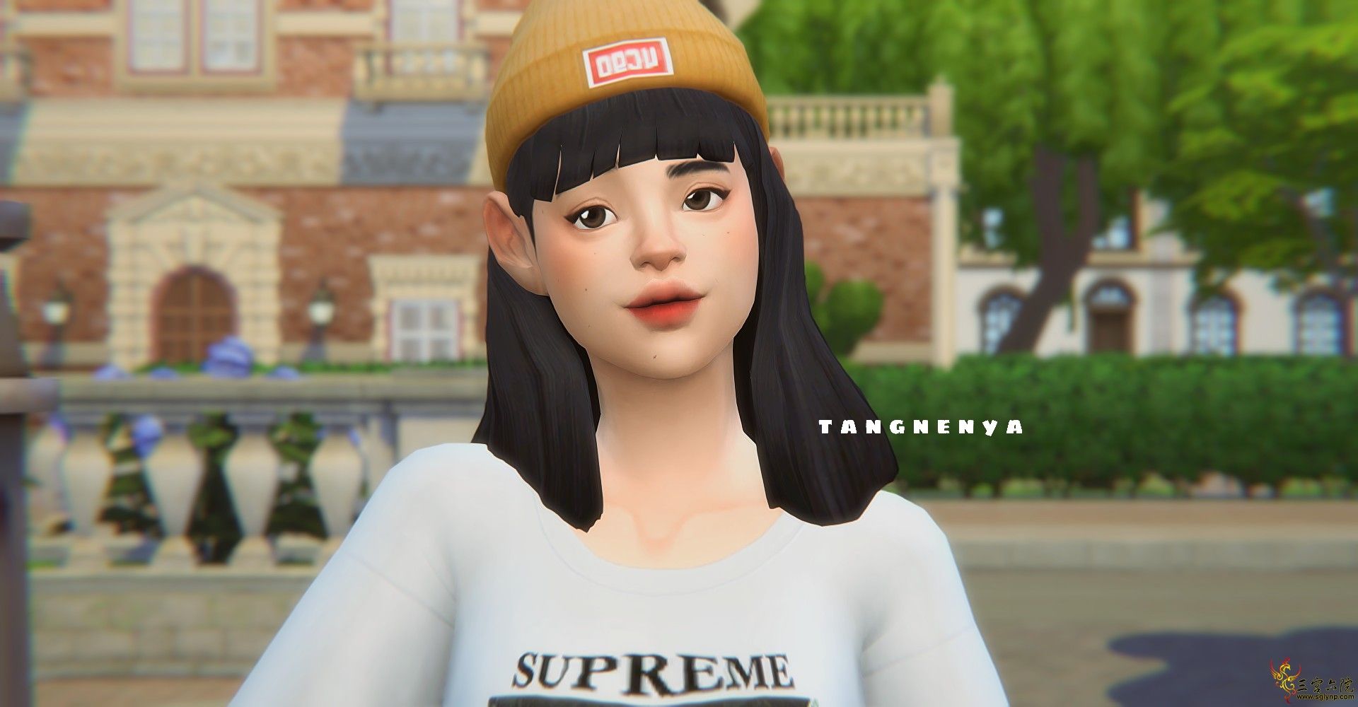 TS4_x64 2020-10-04 18-22-56.png