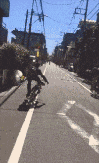 ed032e2acbd34a49986471fc51e8149c.gif