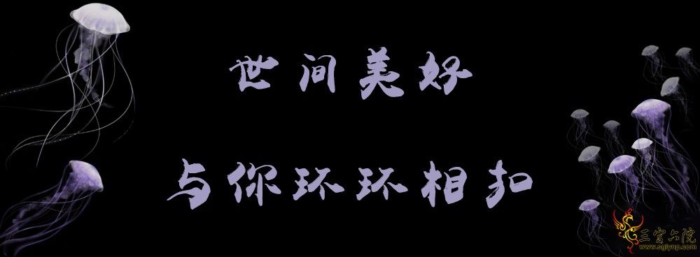 㻷.png