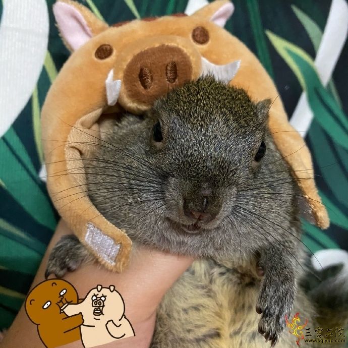 005Hg9a4ly1gkixknui7jj32c02c0x6q.jpg