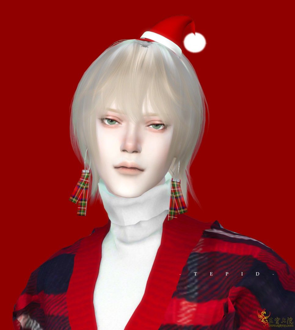 S4.png
