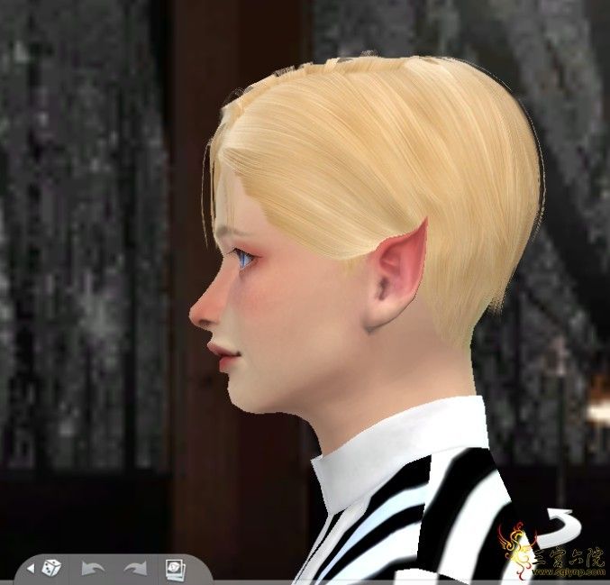 3.PNG