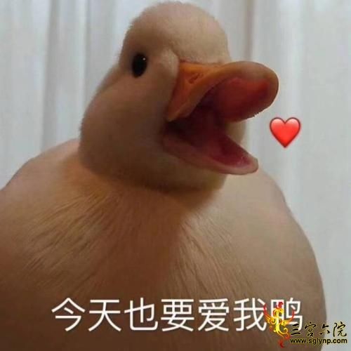 u=3627894040,1066635120&fm=26&gp=0.jpg