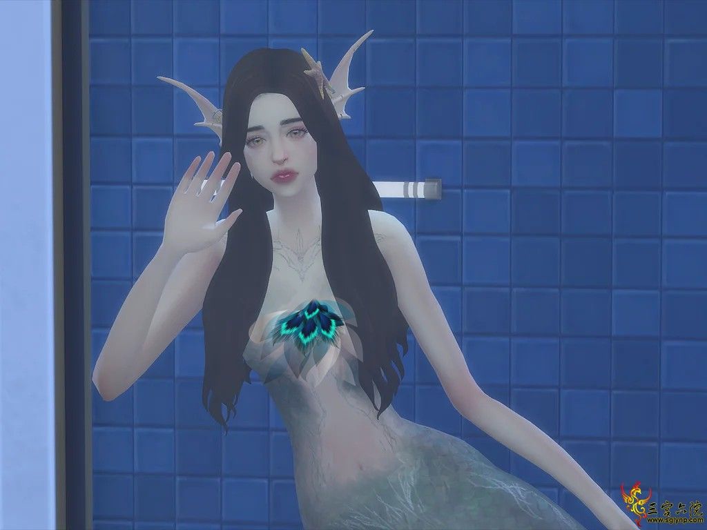 5.png