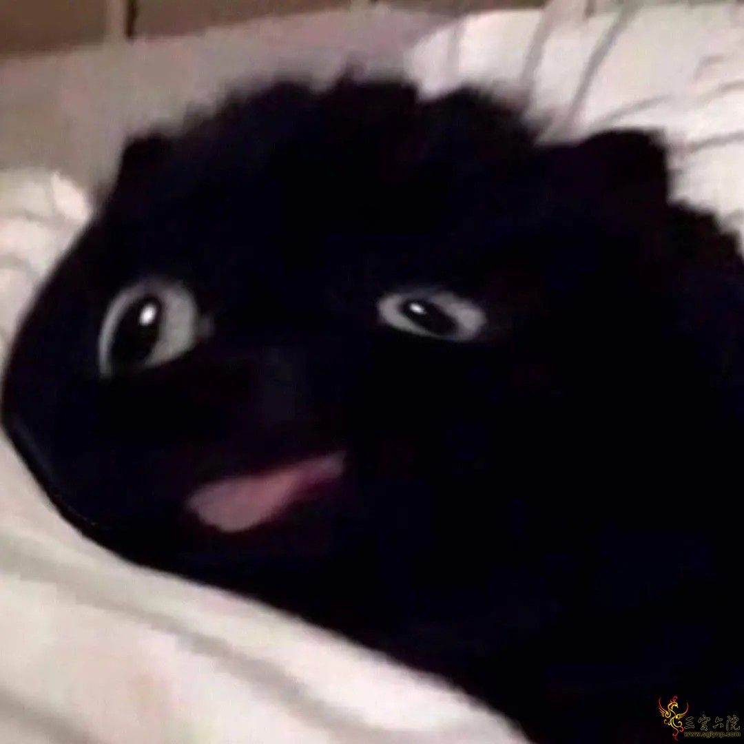 377854733583416_avatar.png
