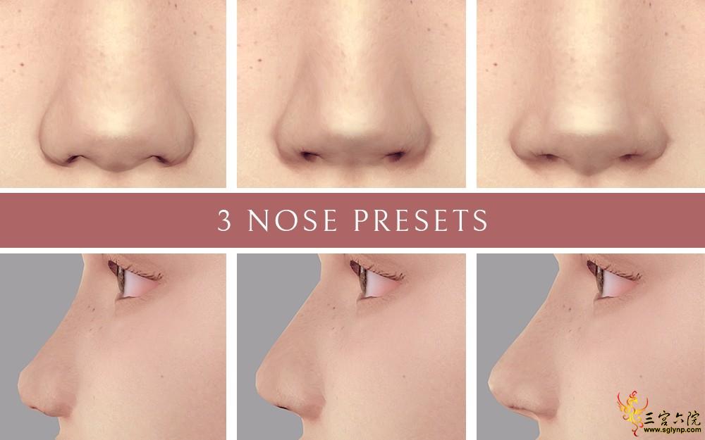 nose-presets.png