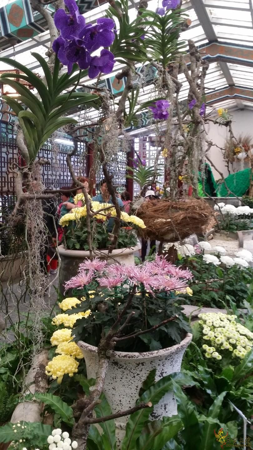 20141118_133123.jpg