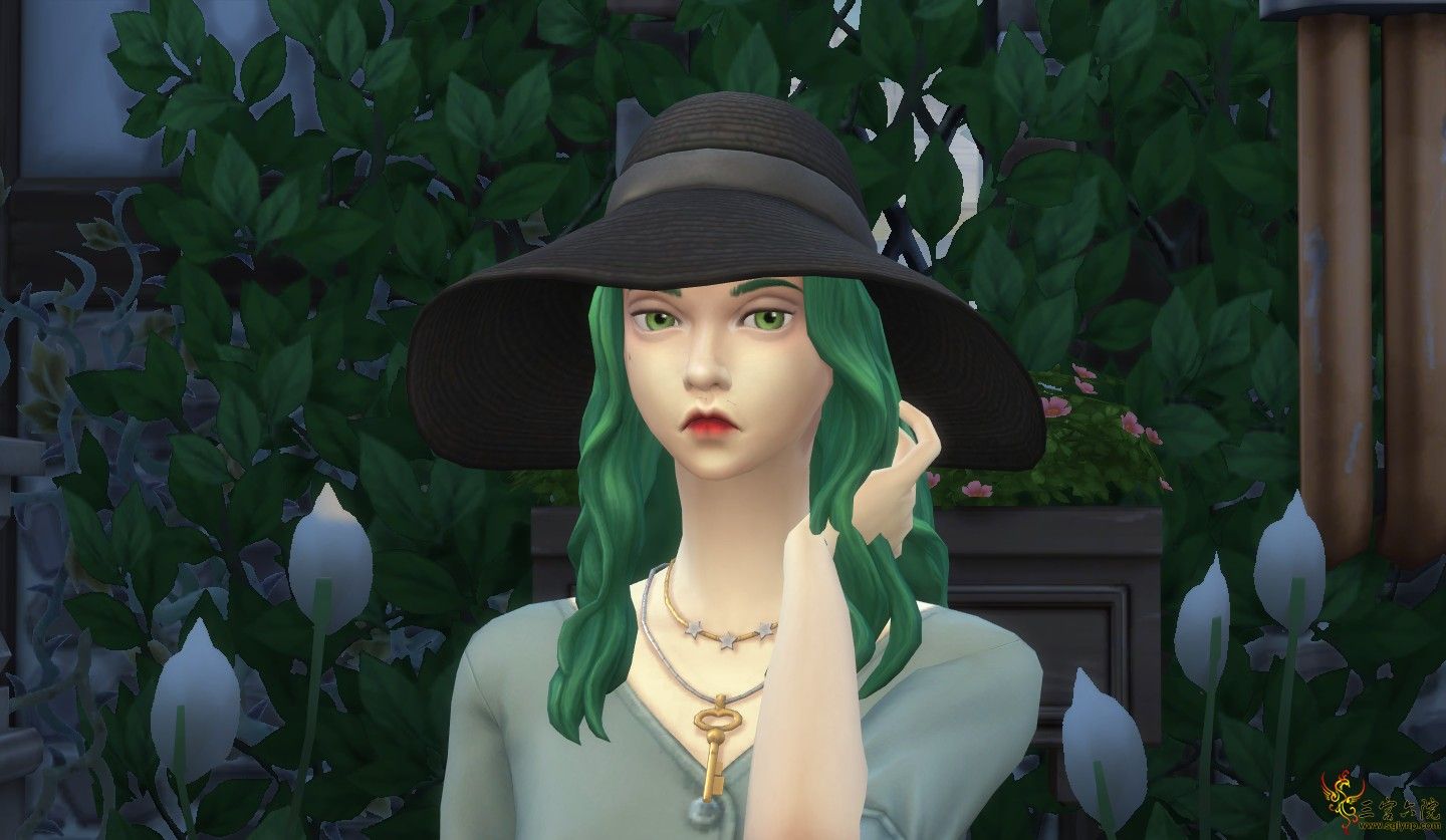 TS4_x64 2021-04-28 16-58-54.png