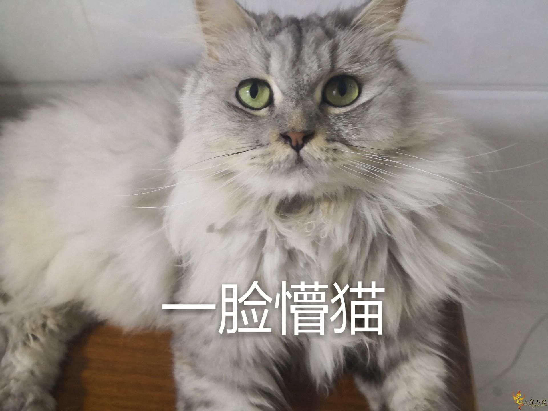 QQͼƬ20210527154342.jpg
