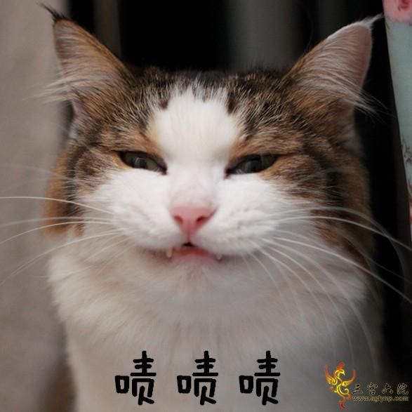 00IMG_30661__.jpg