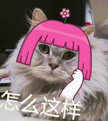 QQͼƬ20210527190034.gif