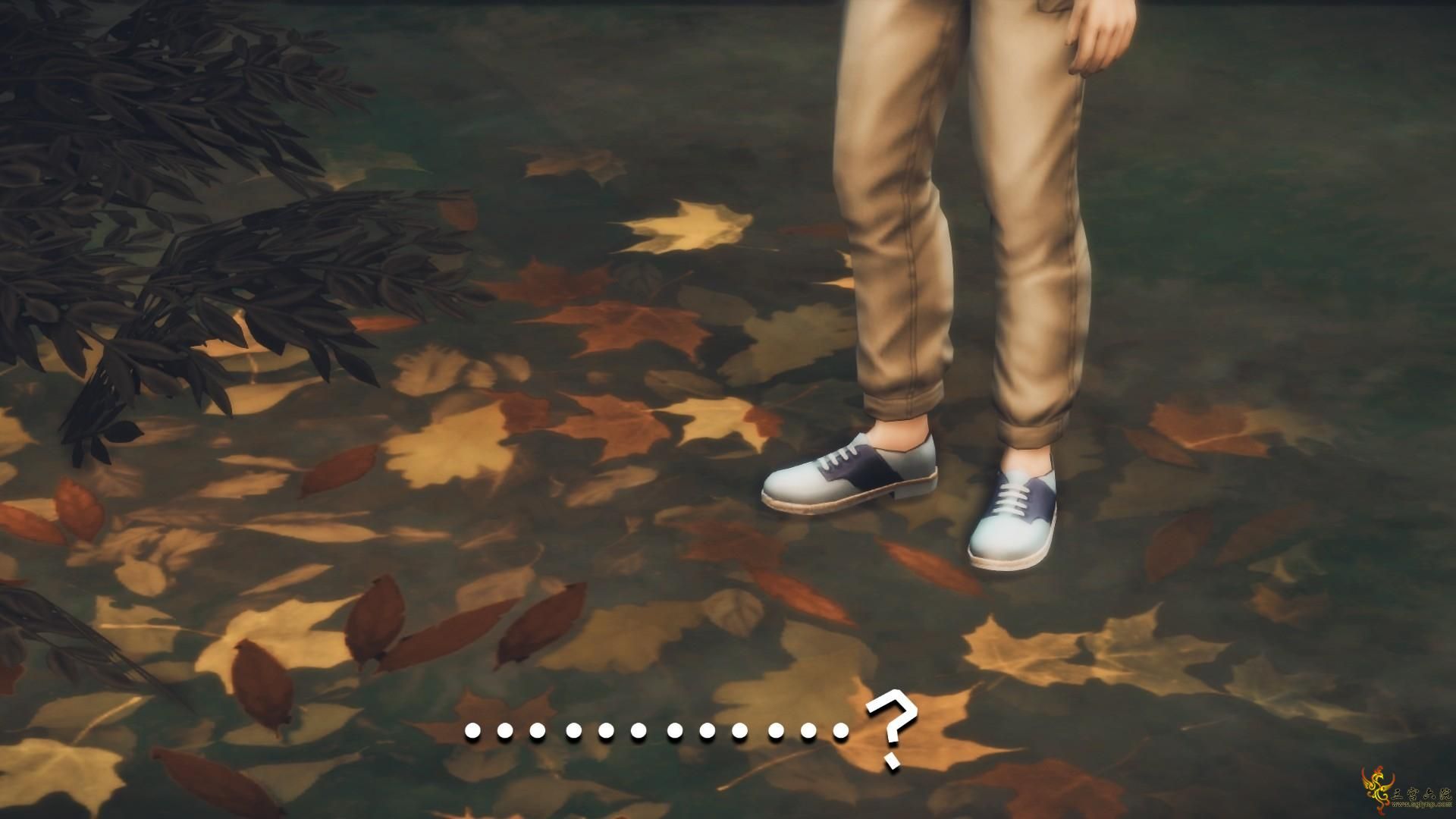 31.png