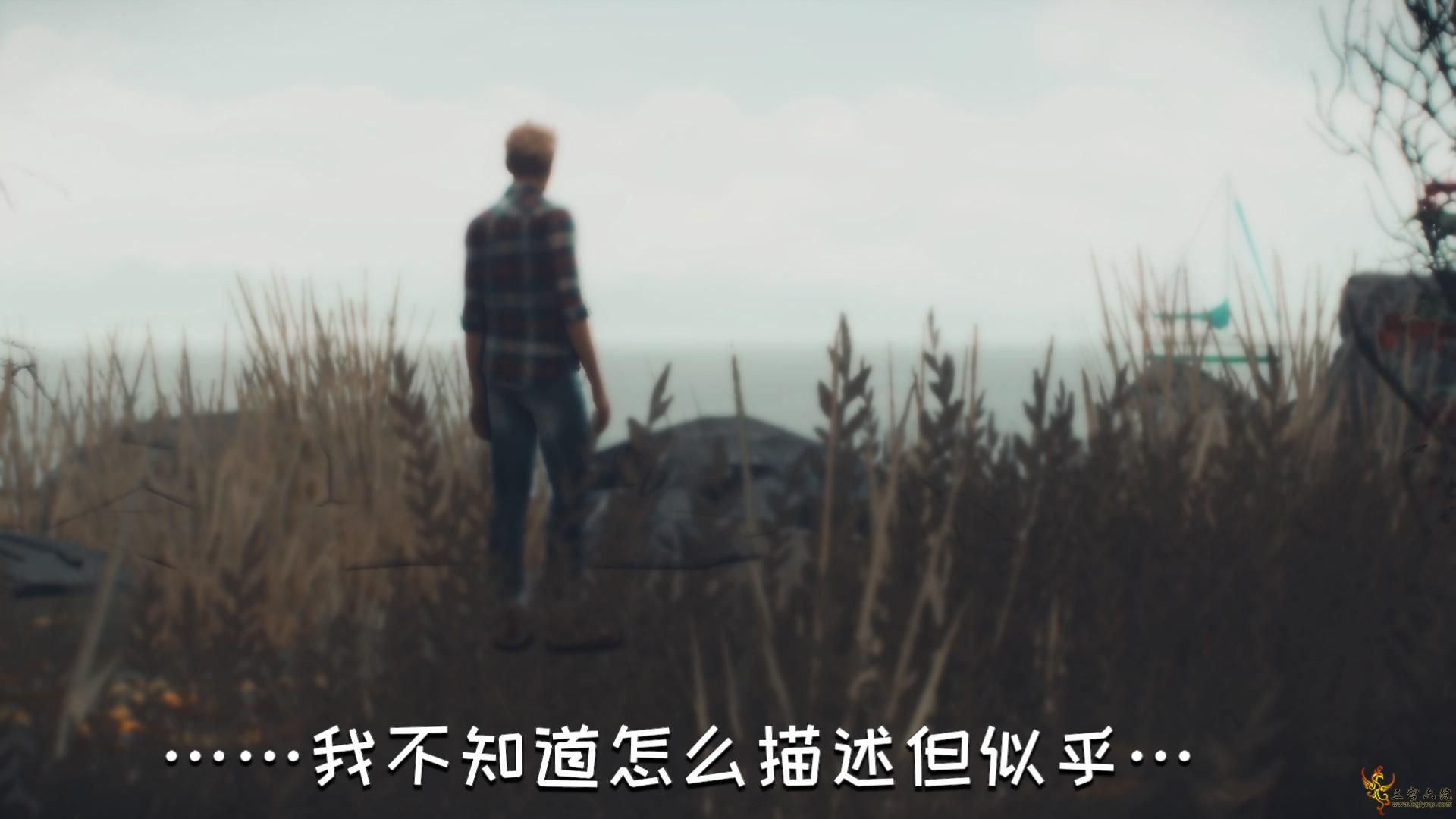 32.png