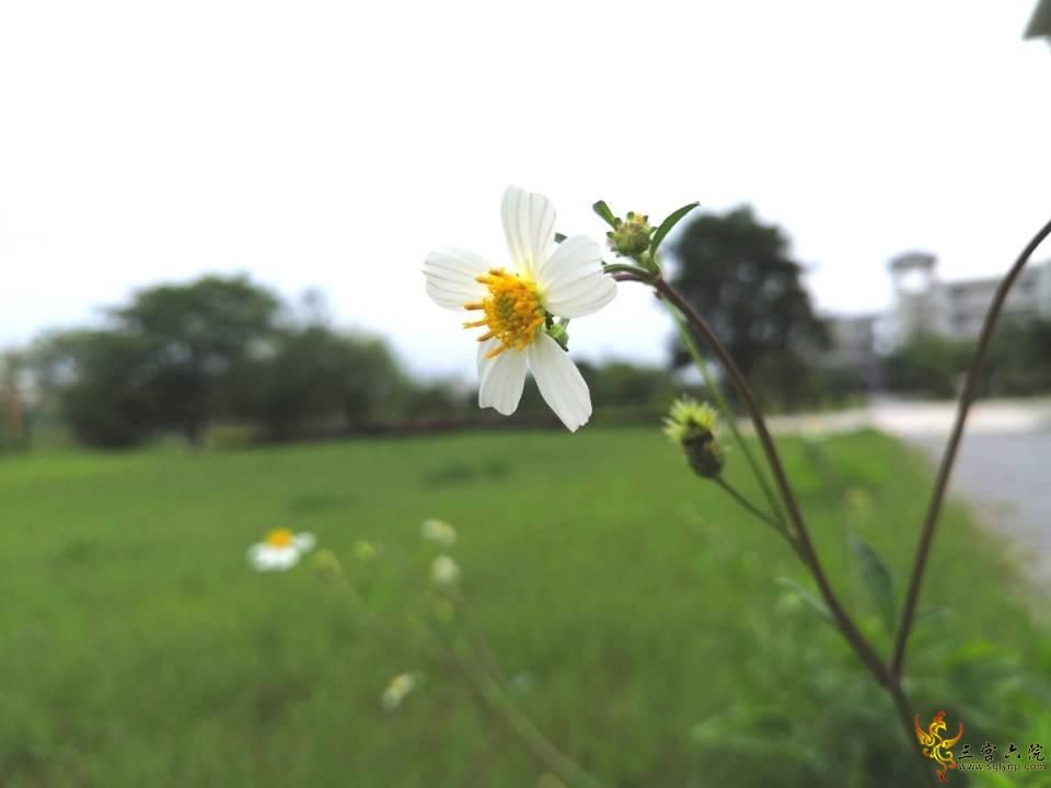 3BF1638380FF46C252F6E7B16D2767CC.jpg