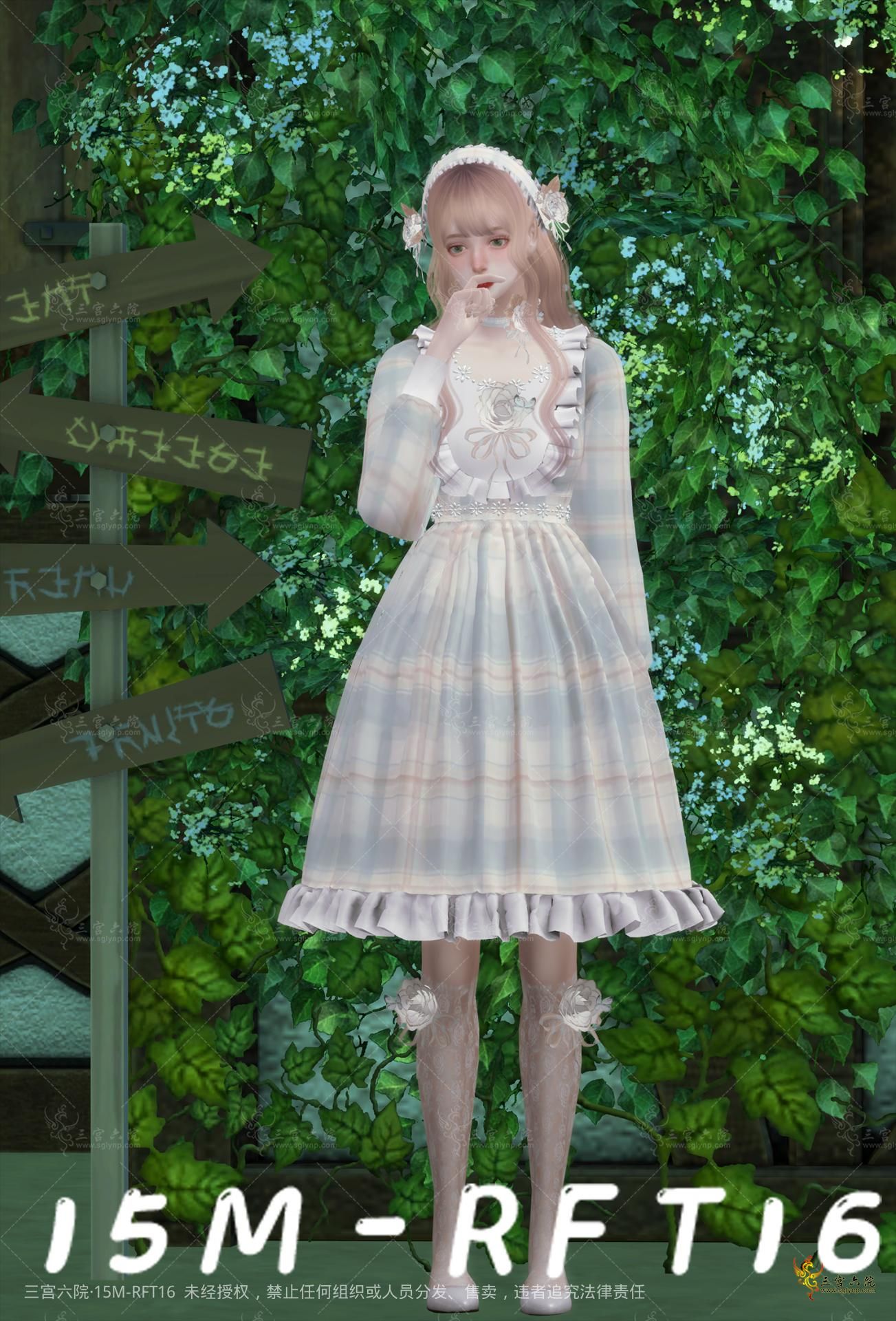 zs2.png