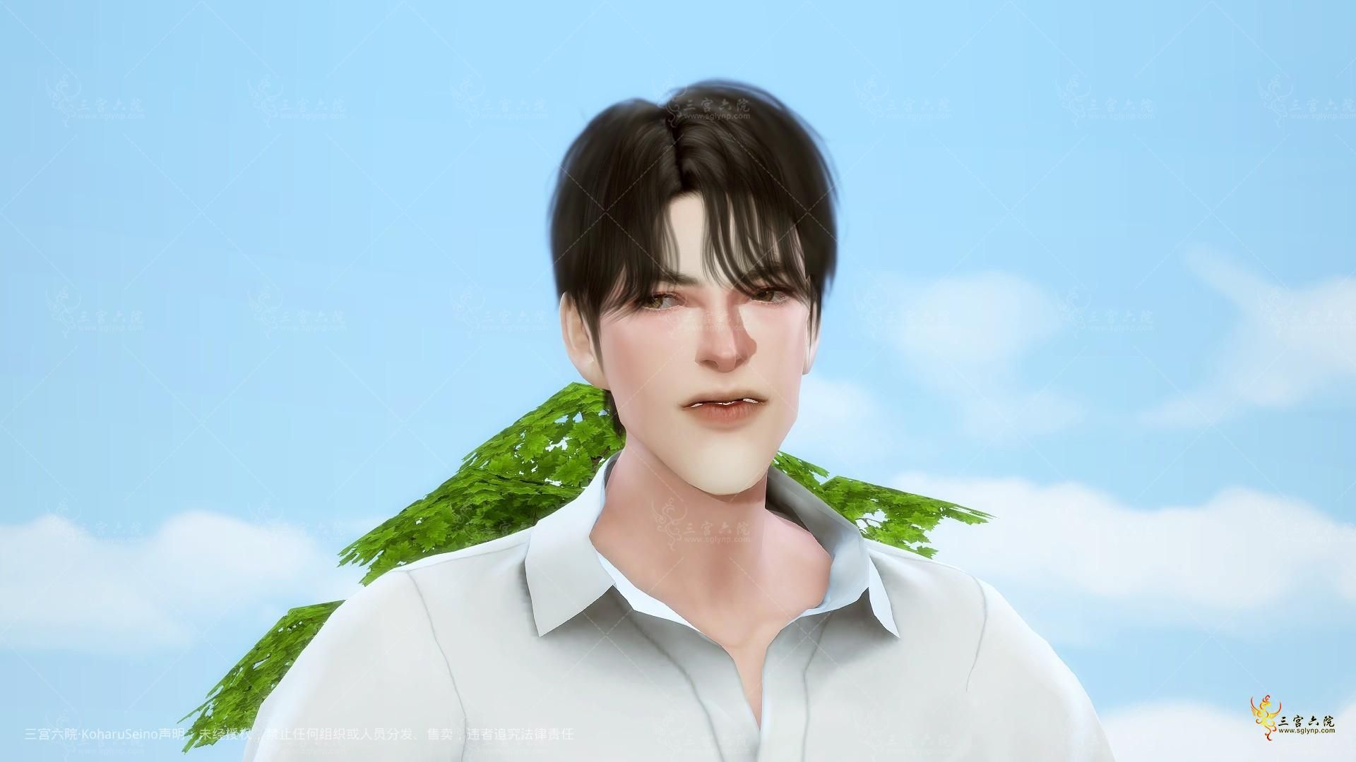 TS4_x64 2021-08-09 21-20-51.png