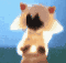 6a9f0af08cac1277.gif