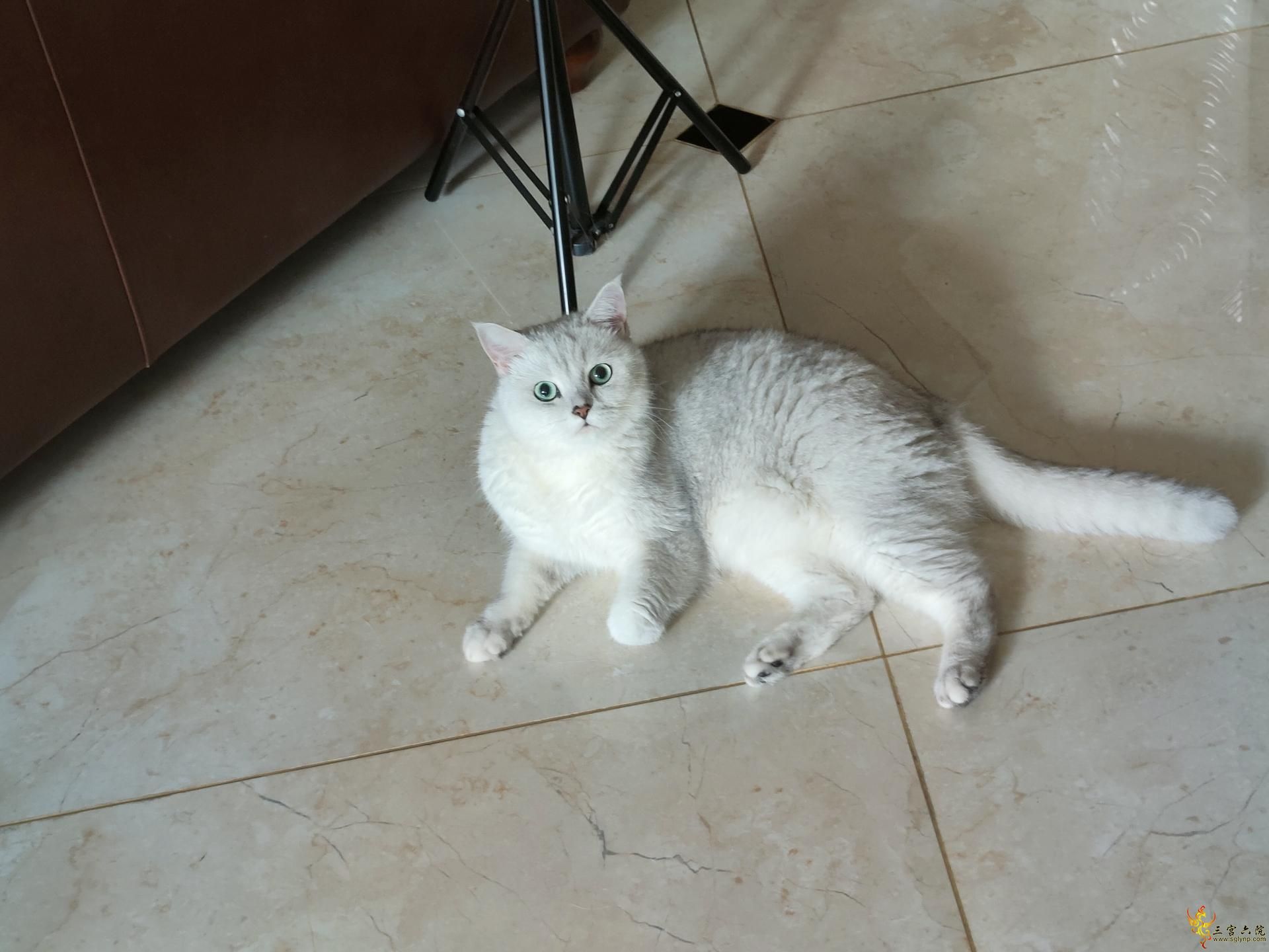 QQͼƬ20210914213422.jpg