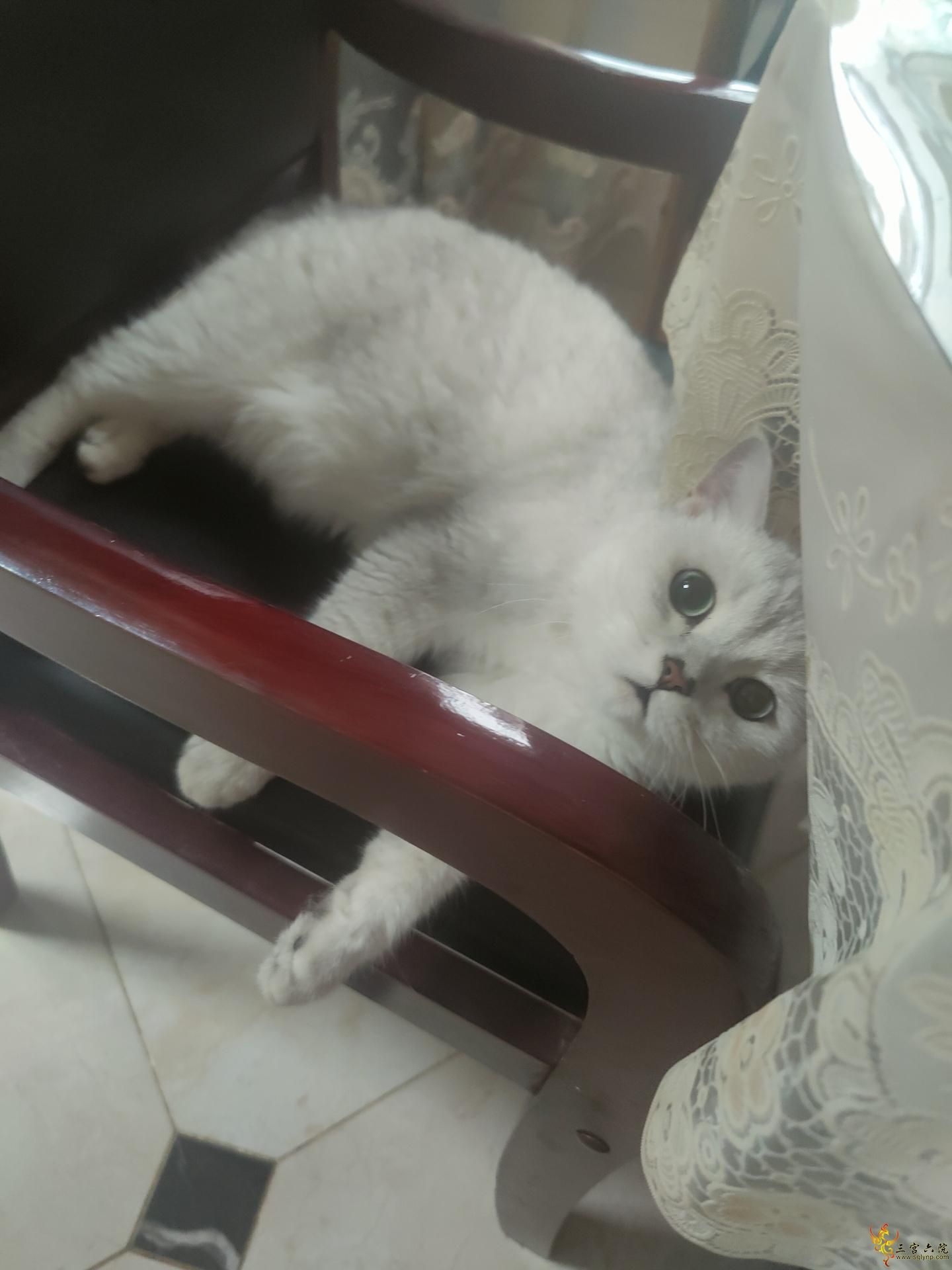 QQͼƬ20210914213431.jpg