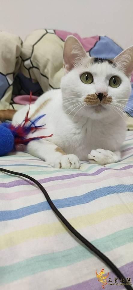 QQͼƬ20210930230458.jpg