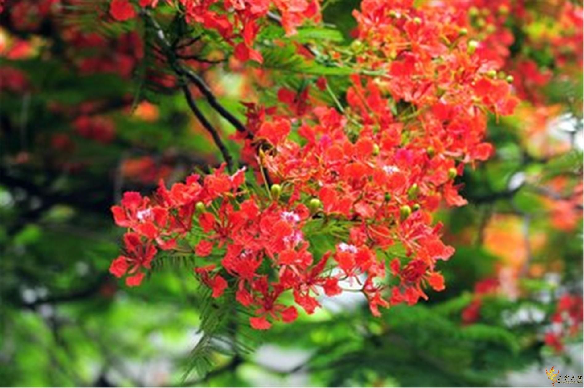 t018be0ca70b26c46d3.jpg