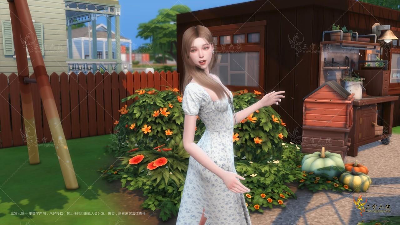 TS4_x64 2021-11-02 14-50-15.png