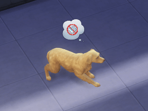 .PNG
