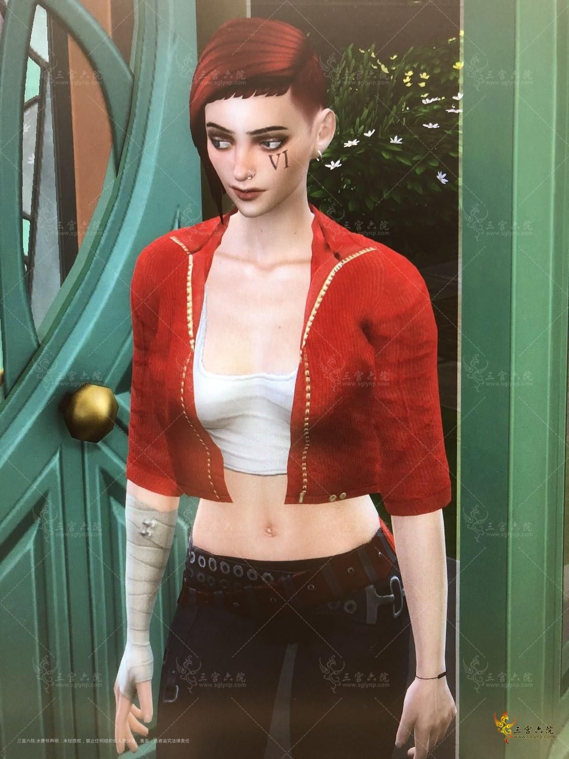 sim4.vi1.jpg