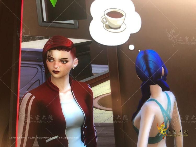 05sim4.vi.jpg