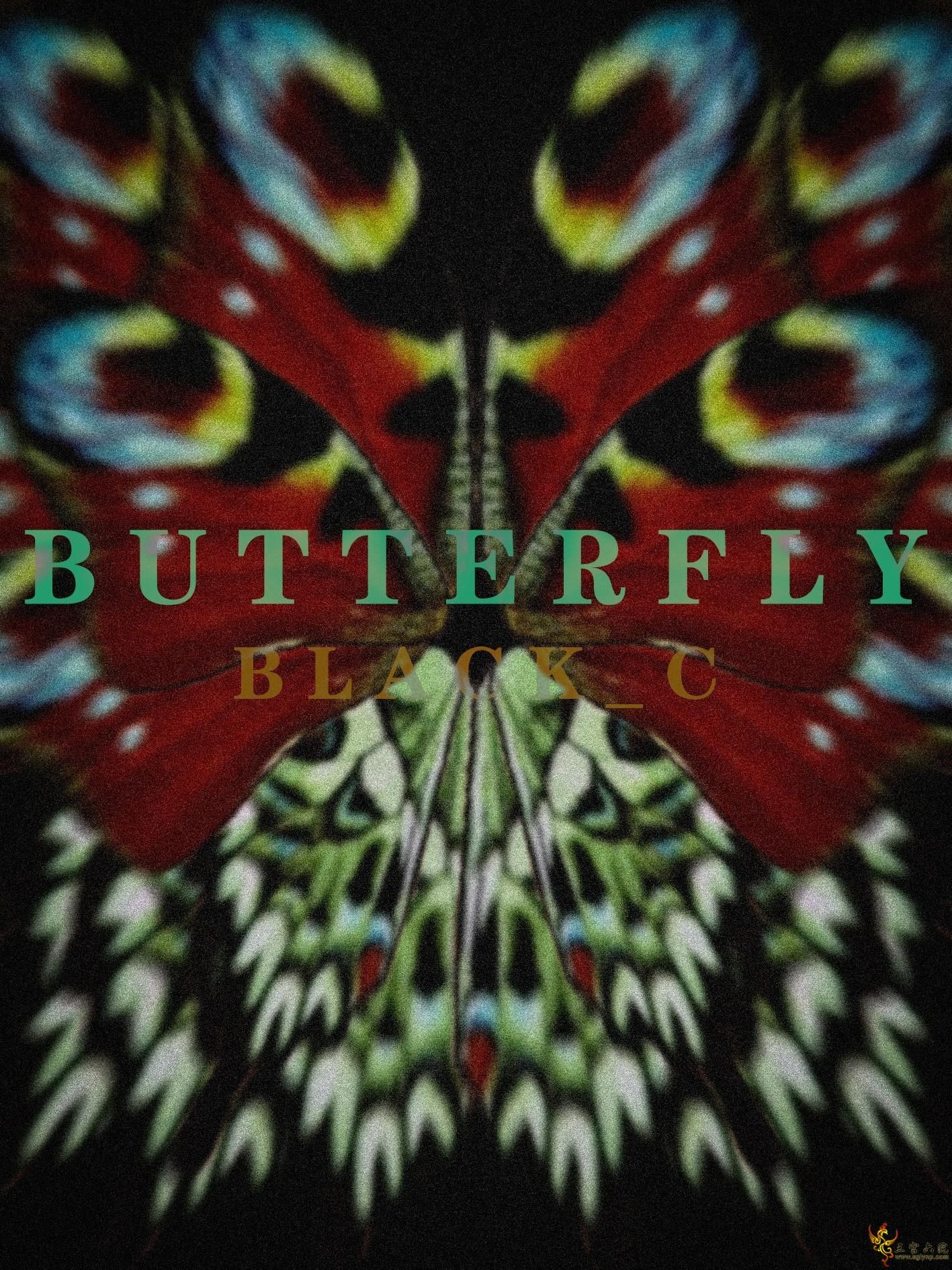 Butterfly.png