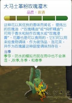 Ԥͼ2.png