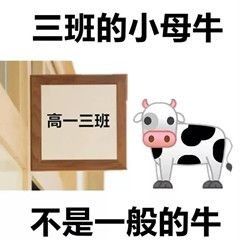 0A5A34A3.jpg
