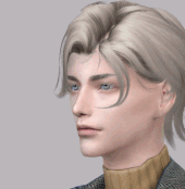 1.gif