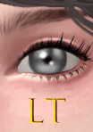 bg.png