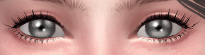 13.gif