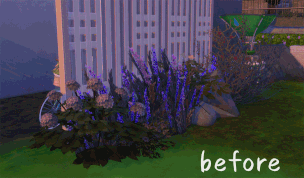 MS01.05.gif
