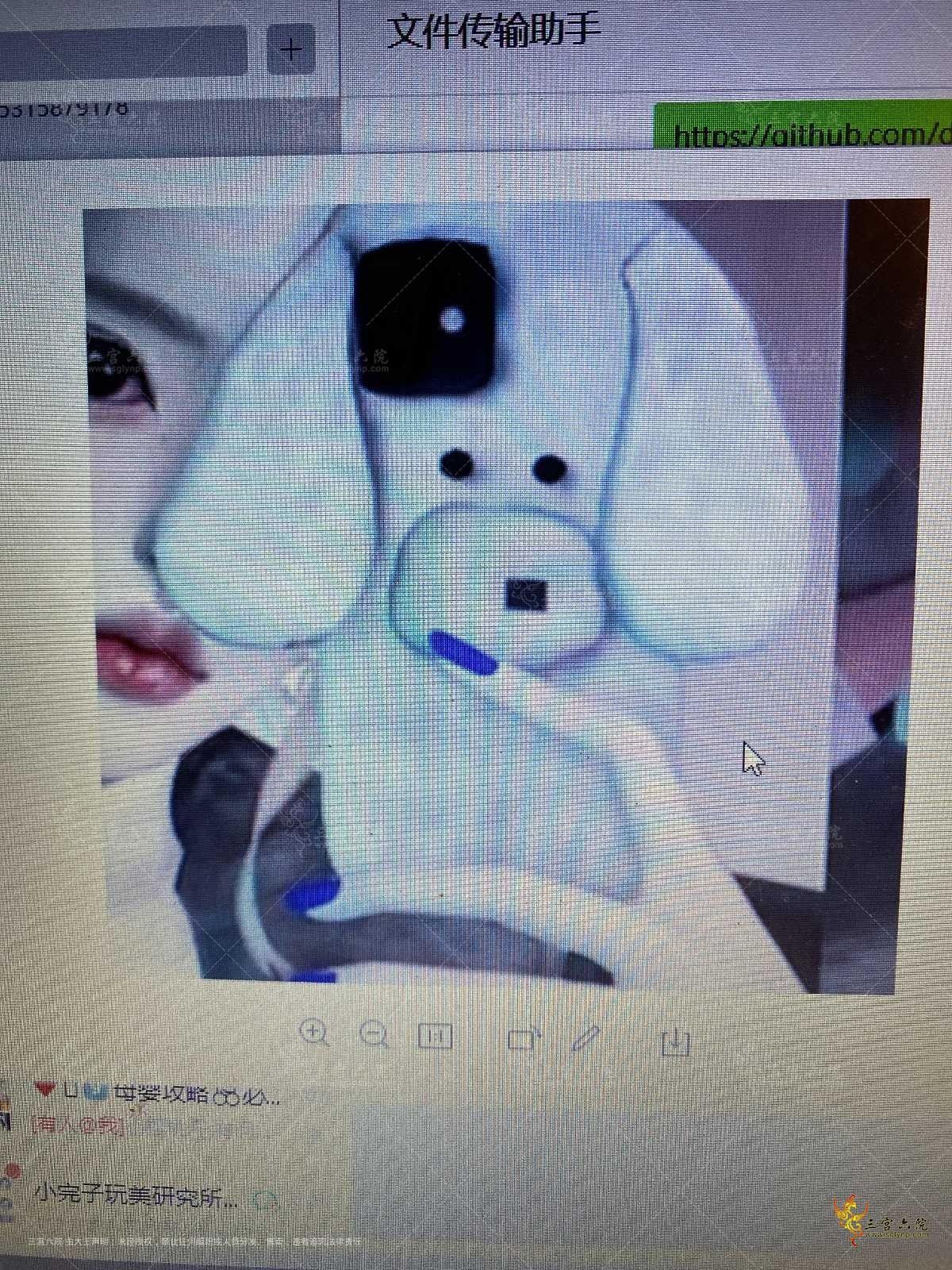 image.jpg