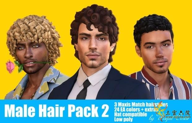 Male Hair Pack 2.jpg