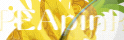 ϵ  Pineapple ˮӡͼ.gif