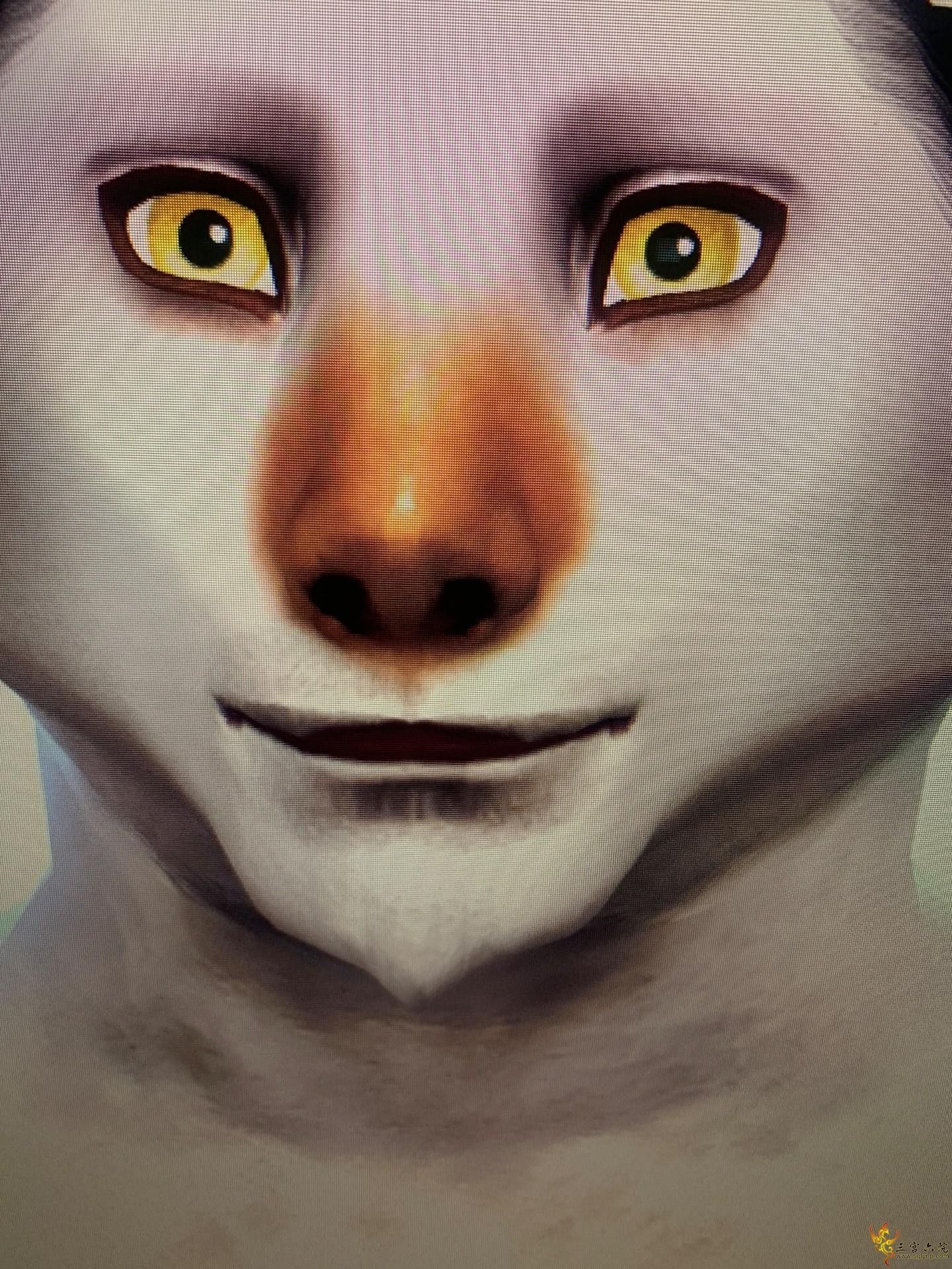 image.jpg