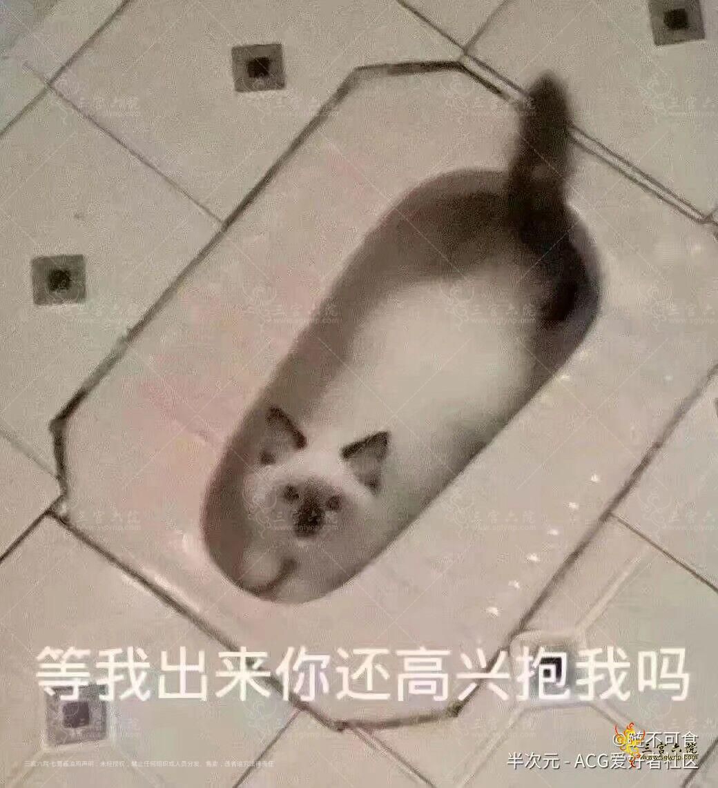 QQͼƬ20220219195247.jpg