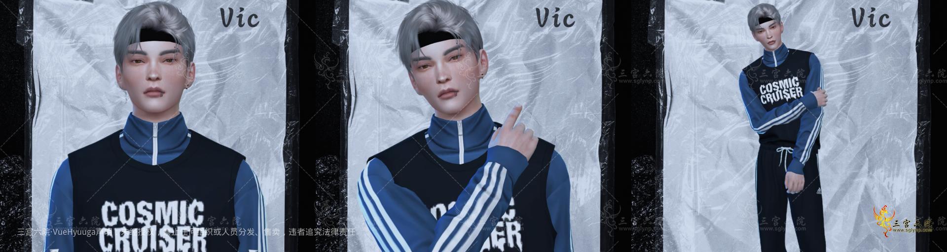 Vic3in1.png