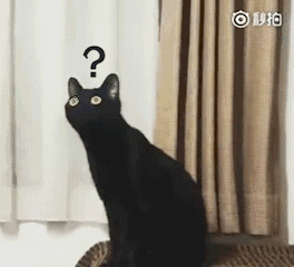 img-16201434207534c70612fgy1gppew659i4g207c06oavo.gif