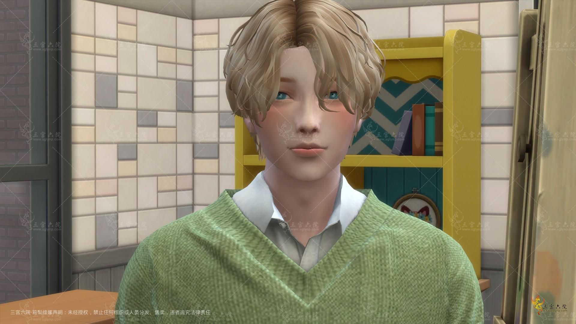 TS4_x64 2022-08-20 13-48-20 original.png