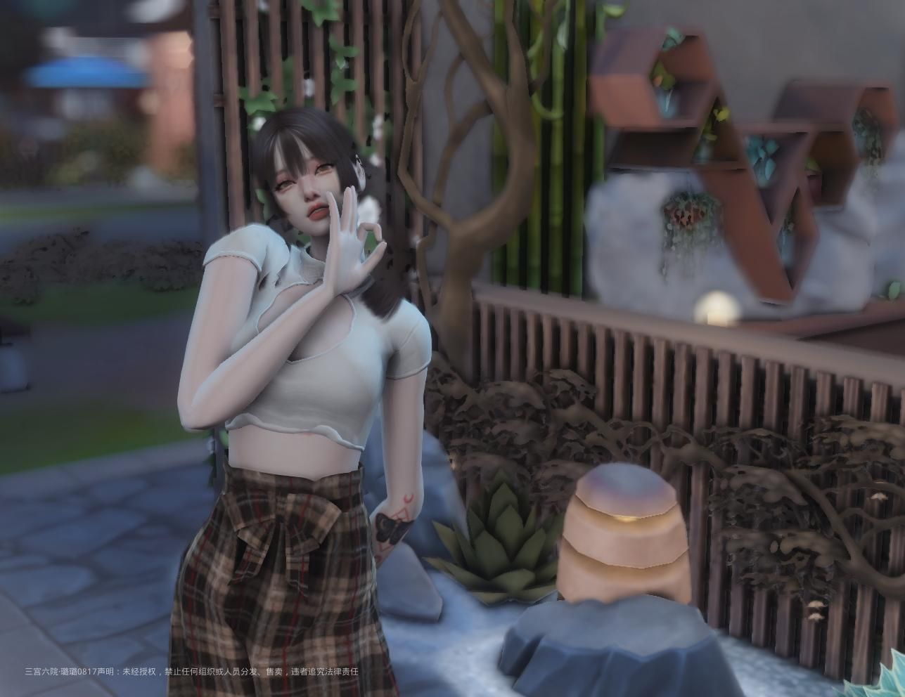 TS4_x64 2022-09-13 08-38-15.png