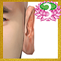88.png