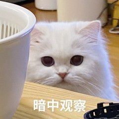 1F68E9FF.jpg