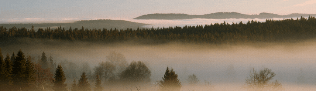 2023.2.19¼.gif