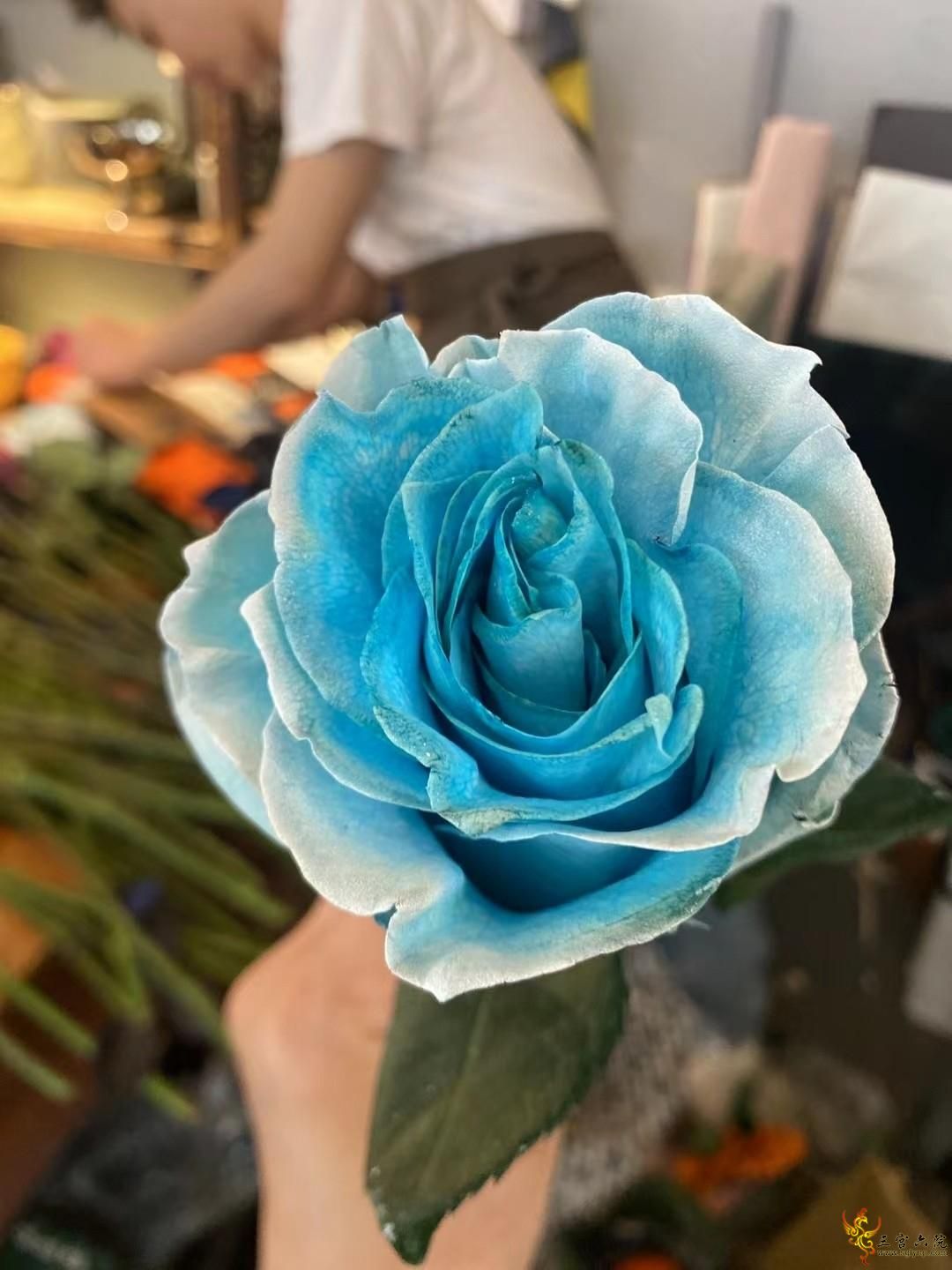 ΢ͼƬ_20230404181103.jpg